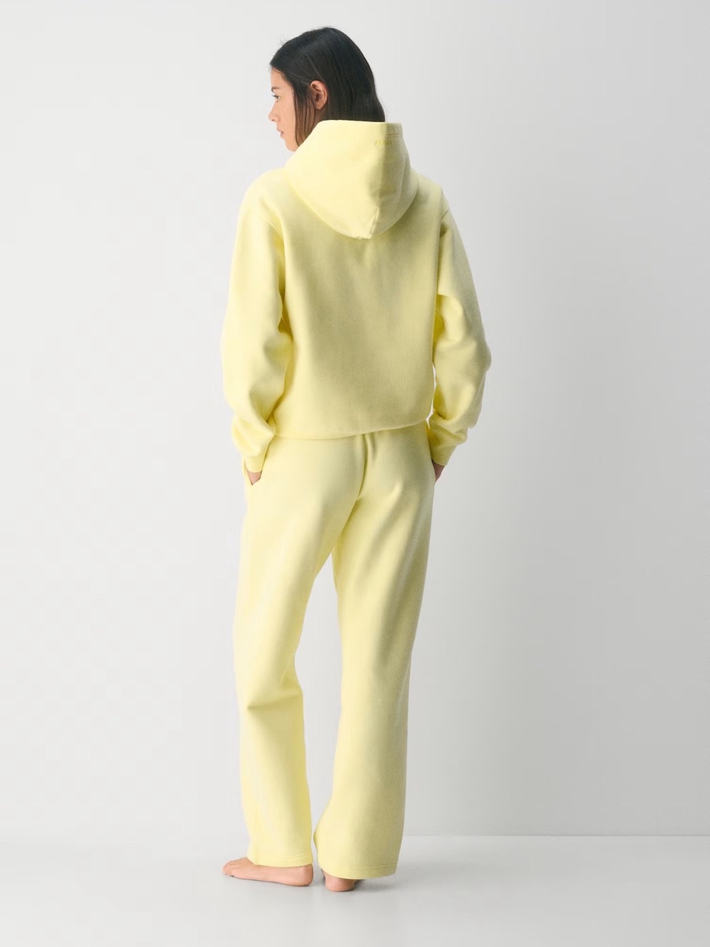 NWT Aritzia Cozy Sweatfleece Perfect Hoodie - Picture 2 of 5